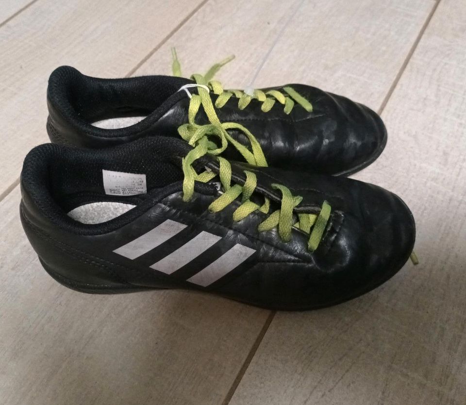 Fußball Schuhe Tausendfüßler Gr 34 Adidas in Remseck am Neckar