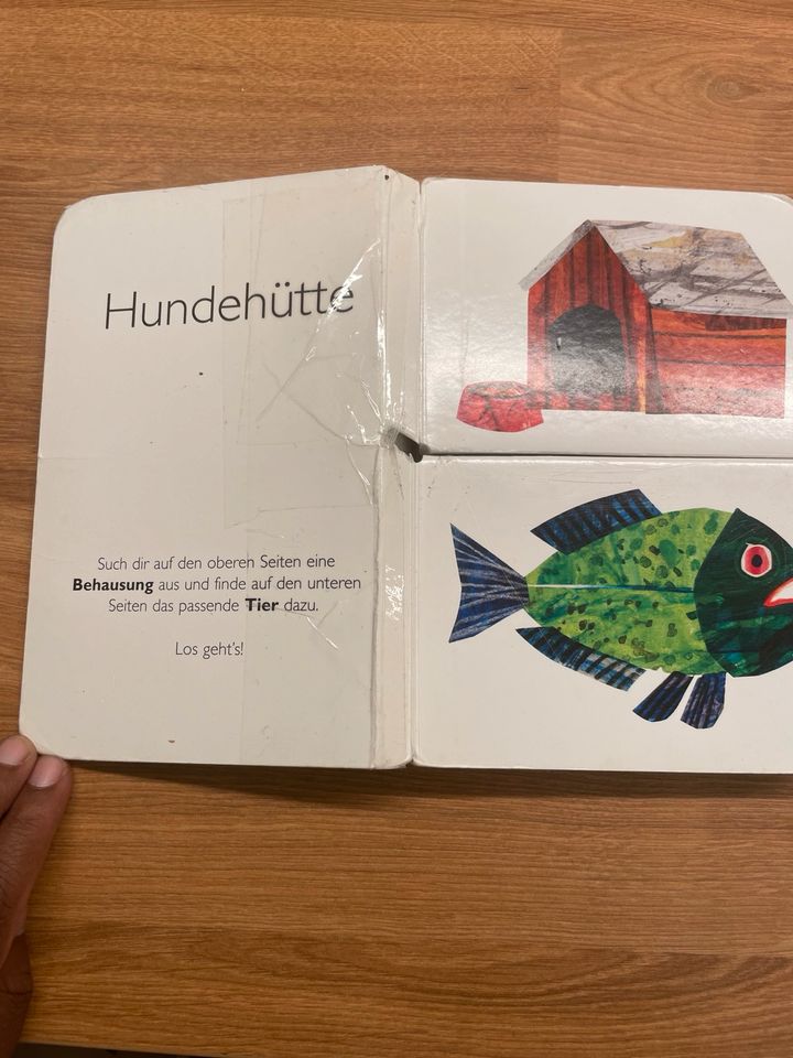 Eric Carle Buch der Tierwohnungen in München