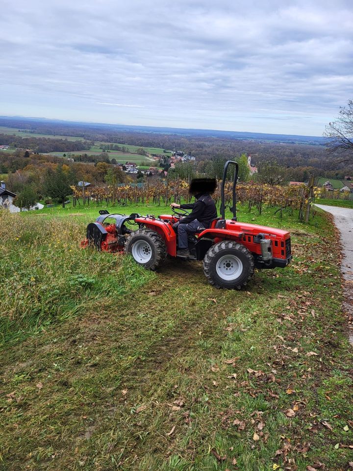 Omarv Schlegelmulcher Mulcher Mulchgerät Mäher in Schmallenberg