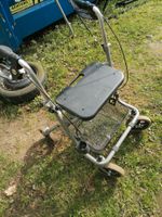 Rollator , klappbar Nordwestmecklenburg - Landkreis - Ventschow Vorschau