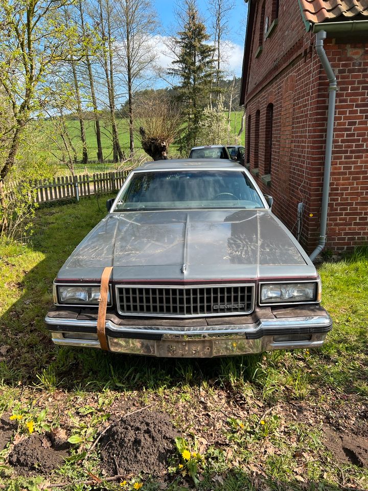 Chevrolet Caprice Schlachtfest in Nahrendorf