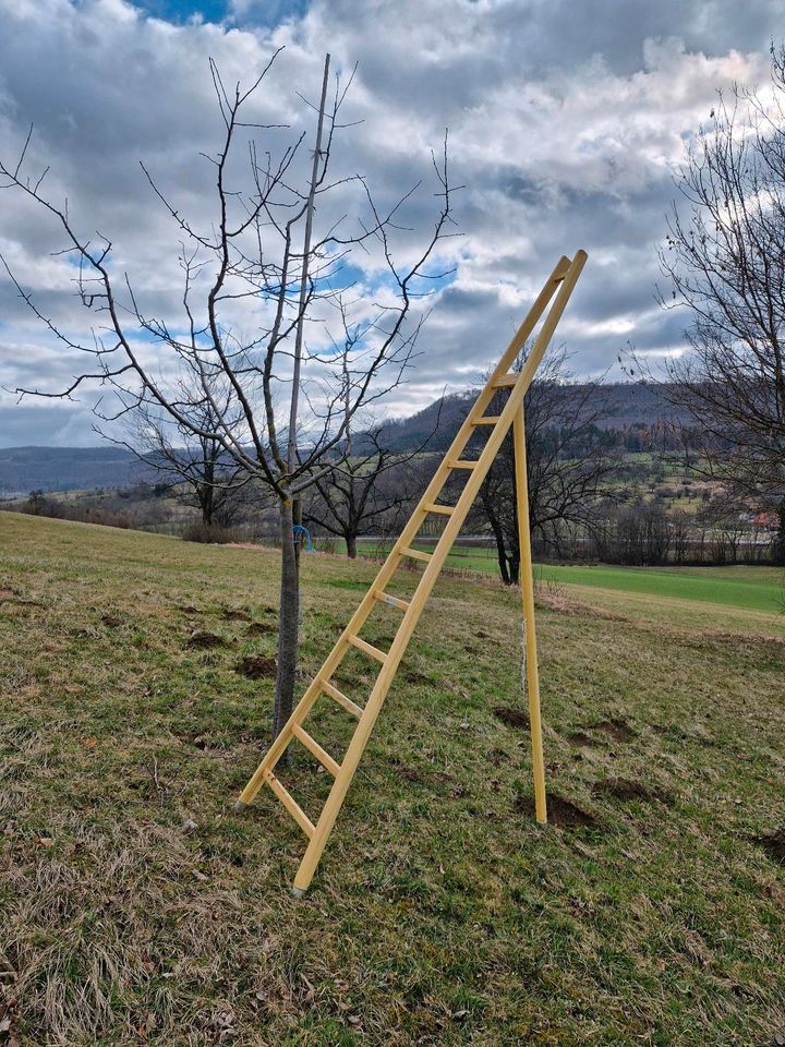 Landschaftspflege Mäharbeiten Mähen mulchen Wiese Grundstück in Mössingen