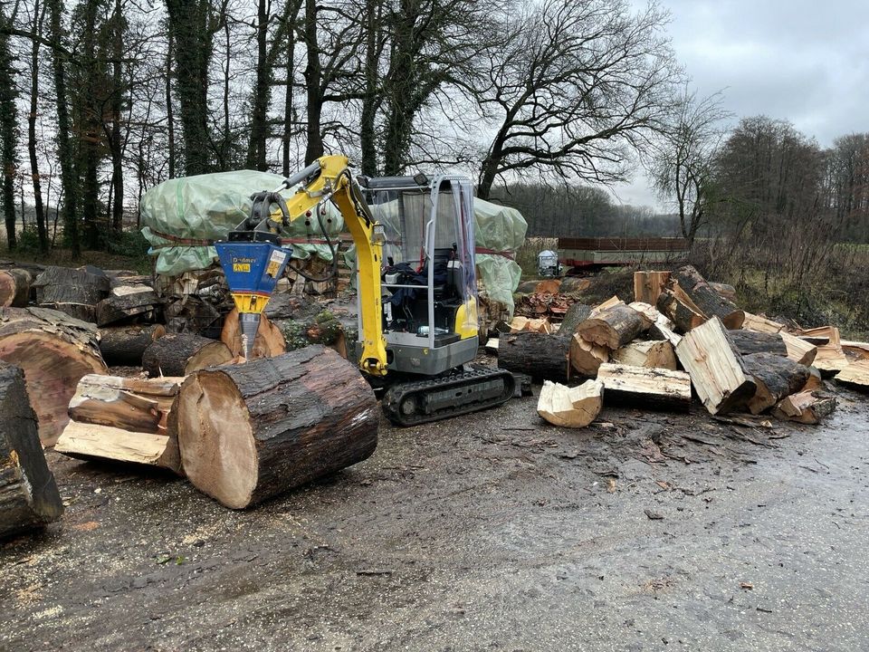 Lohnspalten von Kaminholz, Weidepfählen, Holzspalter / Brennholz in Ahaus