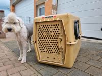 Hundetransportbox / Jetbox 3 Leuna - Günthersdorf Vorschau