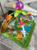 Fisher Price Rainforest Erlebnisdecke mit Musik top Zustand Eimsbüttel - Hamburg Schnelsen Vorschau