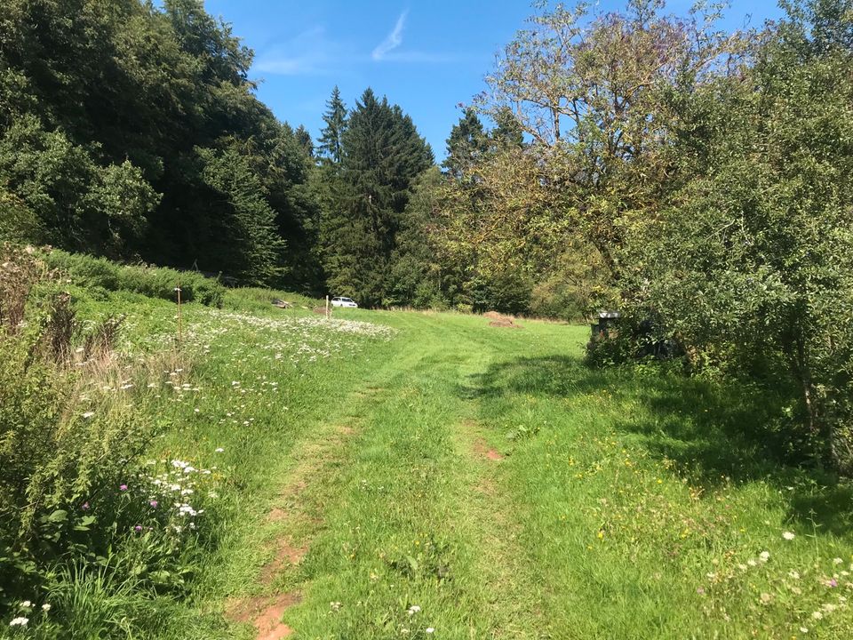 Wochenendgrundstück Überroth Bachlauf eig. Zufahrt Garten Pferde in Saarbrücken