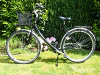 Rabeneick Damenfahrrad schwarz silber 28er mit Korb Nordrhein-Westfalen - Everswinkel Vorschau