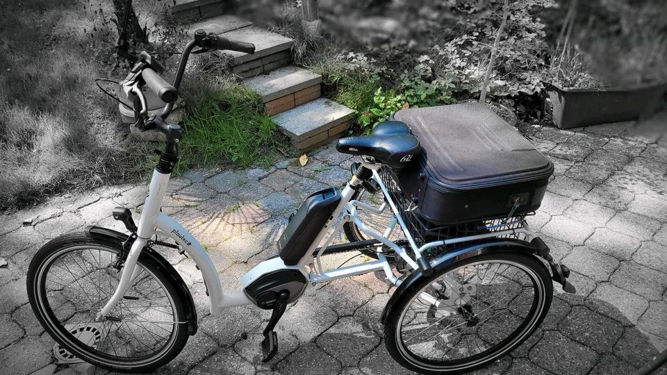 E-Dreirad Pfautec Combo, E-Bike, Pedelec, 3-Rad in Ovelgönne