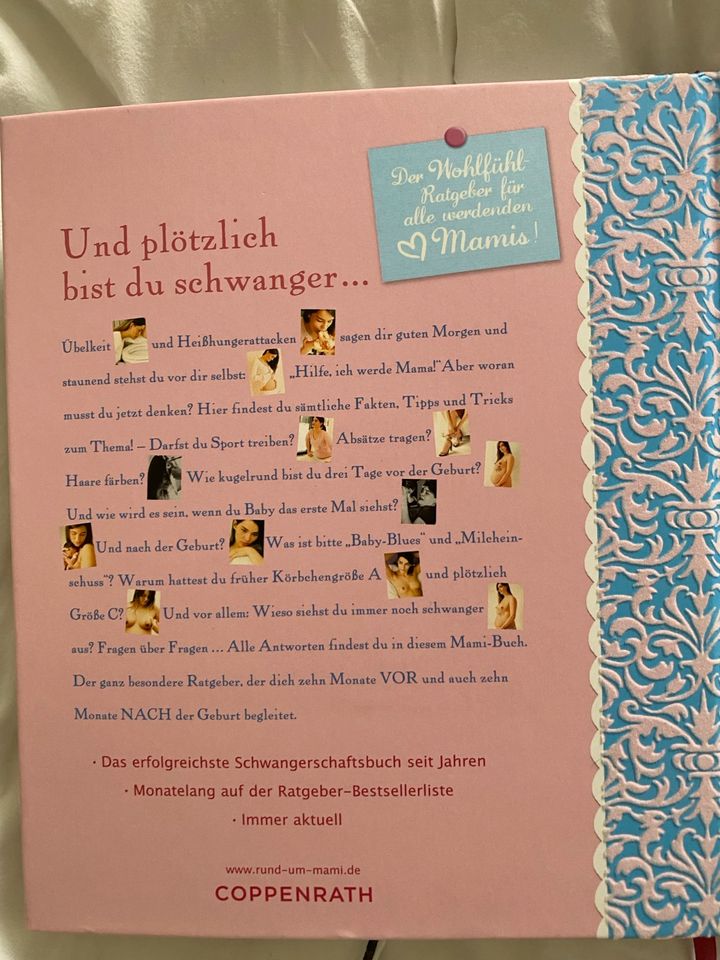 Das Mami Buch Schwangerschaft, Geburt und die zehn Monate danach in Chemnitz