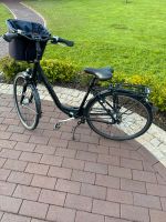 Damen Fahrrad Pegasus 28 Zoll Niedersachsen - Drangstedt Vorschau