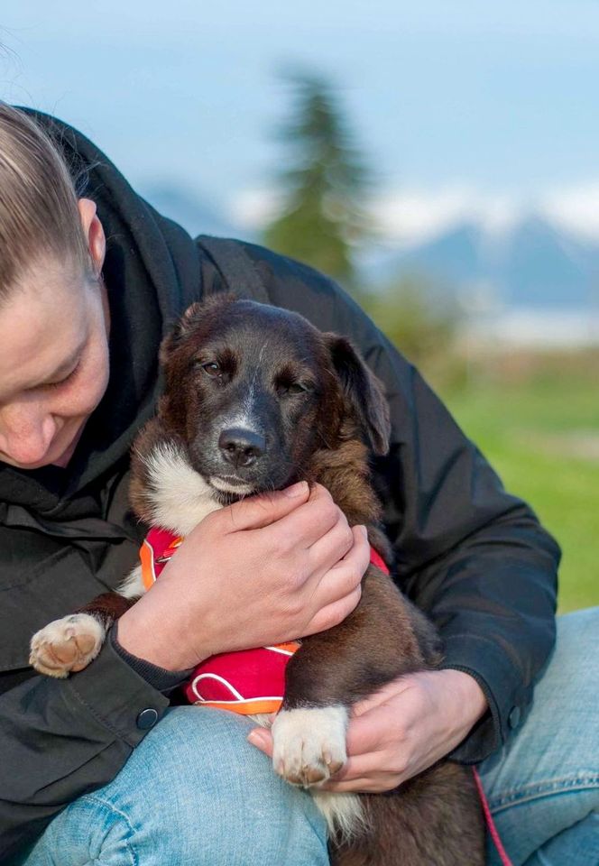 Tierschutz - junges Mädchen Bibi sucht ein Zuhause in Düsseldorf