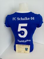 Schalke 04 Damen Trikot Santana signiert S04 Bundesliga Adidas S Nordrhein-Westfalen - Lünen Vorschau