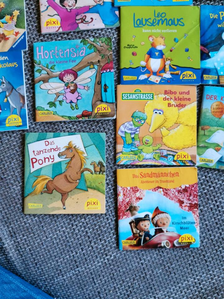 Pixi Bücher Leo Lausemaus, Sesamstraße Kleine Rabe Socke in Syke