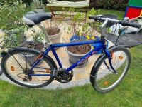 Fahrrad/ Montainbike Sachsen - Naunhof Vorschau