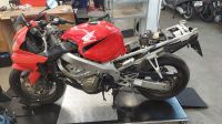 Honda CBR 600 PC35 / Schlachtfest / Bastler Rheinland-Pfalz - Westerburg Vorschau