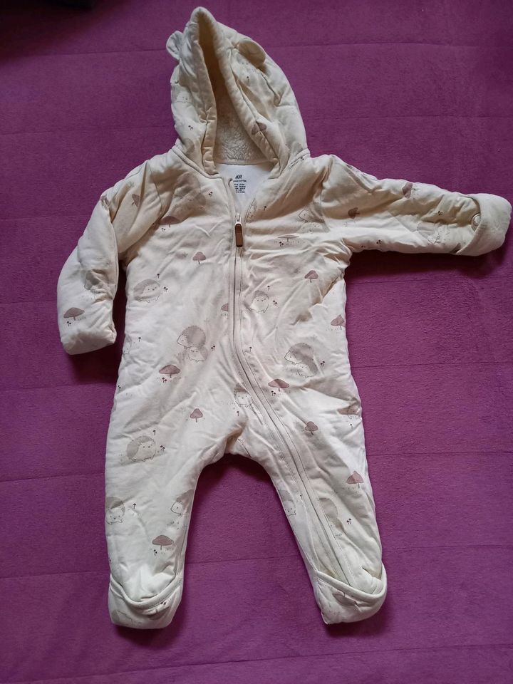 Winteranzug Baby Gr. 68 H&M in Apolda