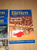 Deutsches Bienen Journal Zeitschrift München - Au-Haidhausen Vorschau