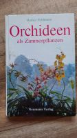 Orchideen als Zimmerpflanzen Thüringen - Geschwenda Vorschau