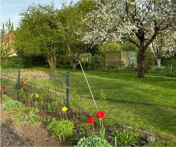 Schrebergarten in Göttingen