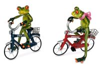 Frosch Mann auf Fahrrad Niedersachsen - Brome Vorschau