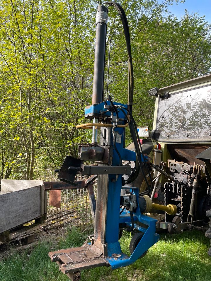 Holzspalter 18 t mit Stammaufheben in Leimen Pfalz