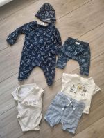 Baby Jungs Kleidung ab Gr 50/56 Berlin - Reinickendorf Vorschau