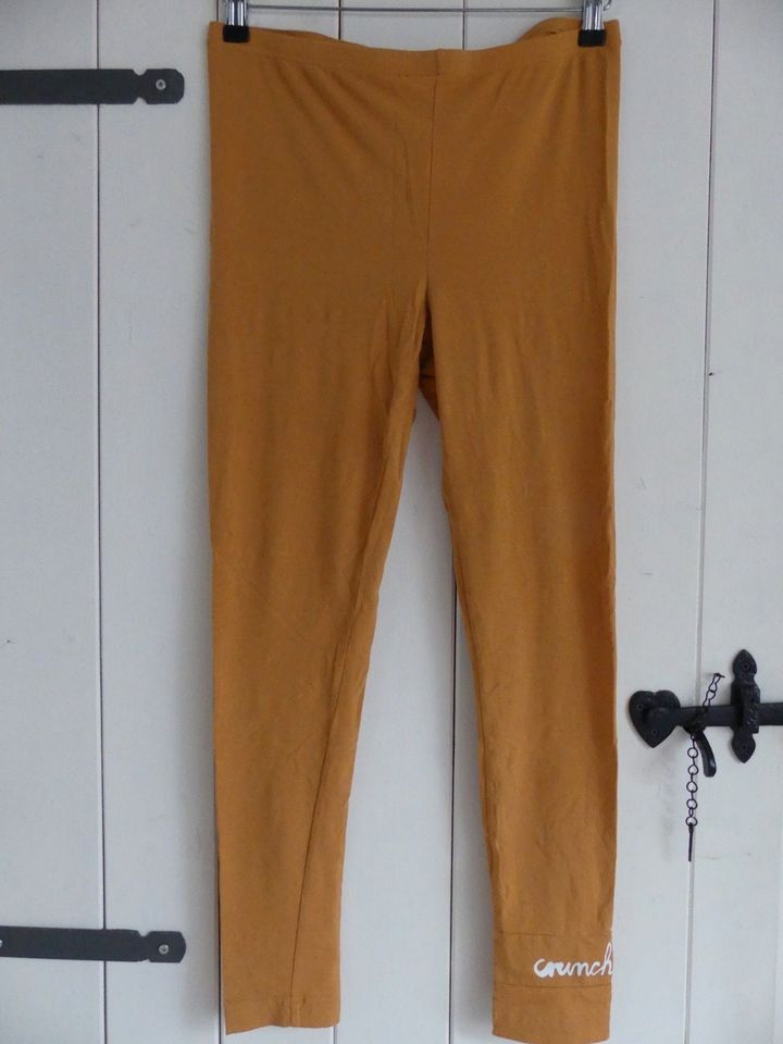 Wunderschöne Rundholz (BL)  leggings Gr. M NEU in Rhauderfehn