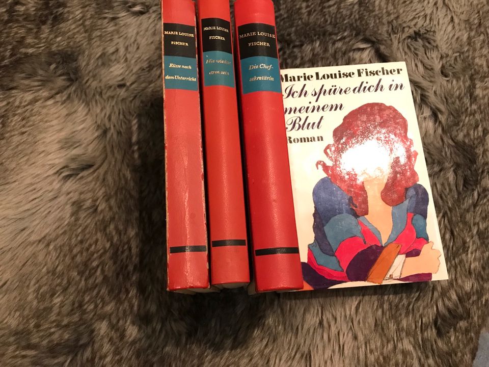 Marie Luise Fischer 4 Bücher Buchpaket in Püttlingen