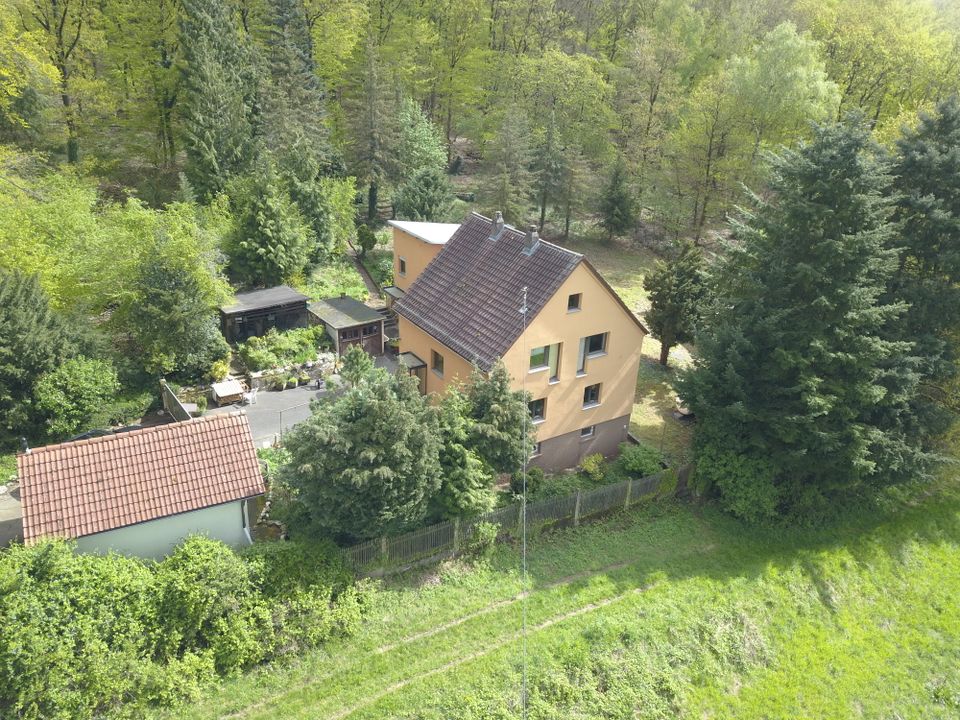 Rohdiamant in einzigartiger Lage / Einfamilienhaus freistehend in Wiesbaden