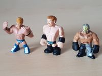 TM& Mattel WWE Wrestling Figuren - auch einzeln je 3,00 € Bayern - Lichtenfels Vorschau