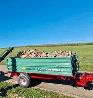 Brennholz Buche Hartholz Bayern - Fremdingen Vorschau