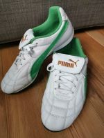 Puma Avanti? Retro Puma Sneaker Gr 37 Sachsen - Obercunnersdorf Vorschau