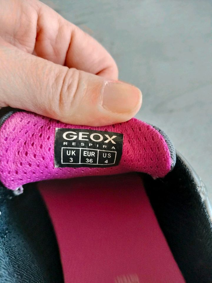 Geox Sneaker Gr. 36 in Krefeld