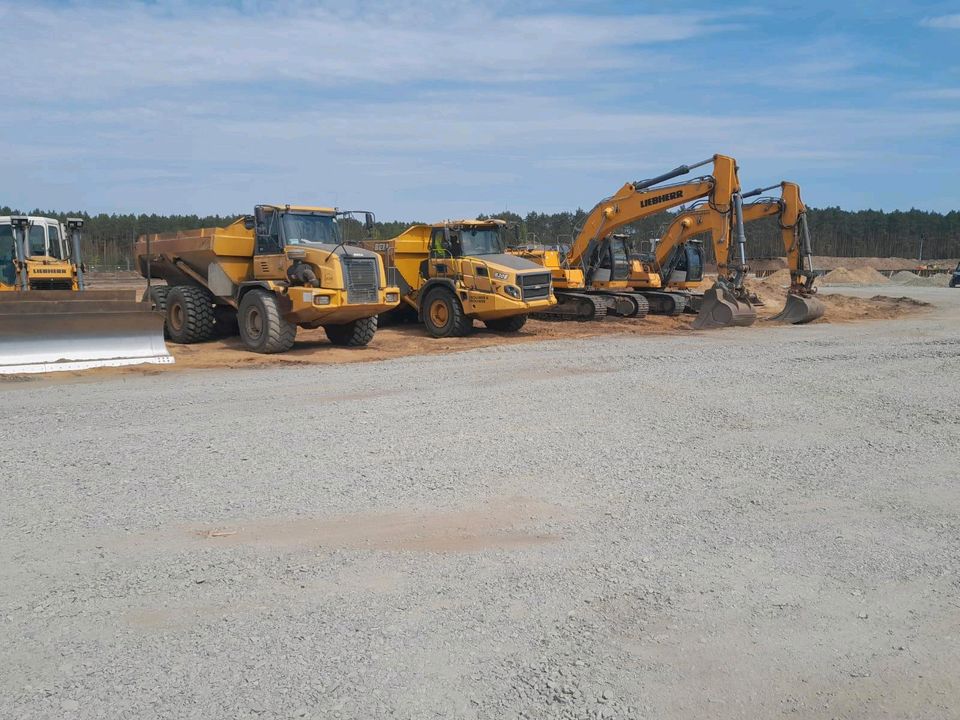 BAUMASCHINE ZU VERMIETEN in Grünheide (Mark)