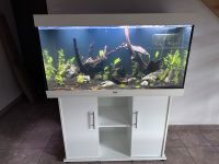 Verkaufe einen Juwel Rio 300 Aquarium mit Unterschrank Rheinland-Pfalz - Saarburg Vorschau