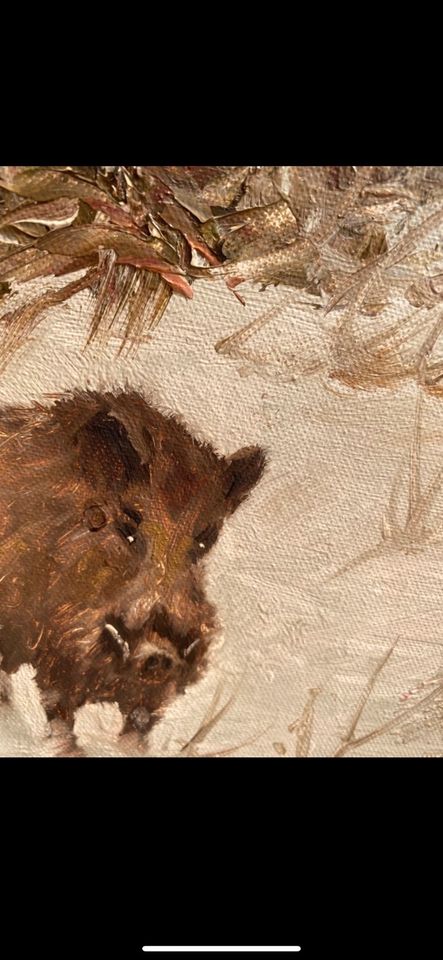 Gemälde mit 4 Wildschweinen im Winter in Heroldstatt