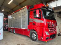 Viehtransporter, Viehanhänger, Stehmann,Finkl,Menke, Actros, Baden-Württemberg - Krauchenwies Vorschau