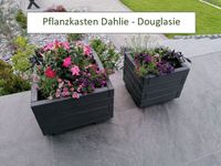 Pflanzkasten – Dahlie – Douglasie – Blumenkübel - Hochbeet Nordrhein-Westfalen - Finnentrop Vorschau