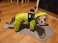 Hundemantel Chihuahua Regencape Regenjacke Leipzig - Seehausen Vorschau