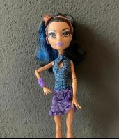 Robecca Steam Monster High Puppe mit Handtasche Bayern - Bruckmühl Vorschau