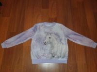 Einhorn Kuschel Pulli Pullover 122128 H&M *neuwertig* Hamburg-Nord - Hamburg Langenhorn Vorschau