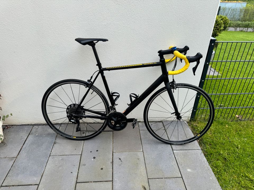 Canyon Endurace 7.0 Aluminium XL in Dortmund