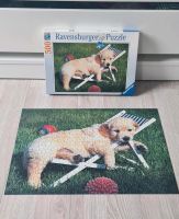 Ravensburger 500 Teile Puzzle Hund Rheinland-Pfalz - Koblenz Vorschau