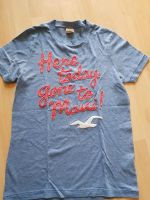 Hollister T-Shirt S unisex Rheinland-Pfalz - Hauenstein Vorschau