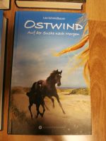 Buch Roman Ostwind Lea Schmidbauer Auf der Suche nach Morgen Hessen - Gründau Vorschau