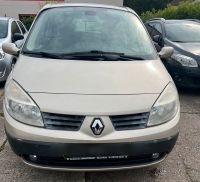 Renault Scenic Diesel Panoramadach, SHZ,6 Gang W+S Reifen Sachsen - Glauchau Vorschau