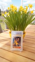 1996-97 TOPPS Rookie Kobe Bryant RC #138 PGS 9 MINT Brandenburg - Bad Saarow Vorschau