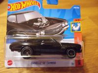 Hot Wheels Chevelle SS Express Black/Black  Modellauto Sachsen - Oelsnitz / Vogtland Vorschau