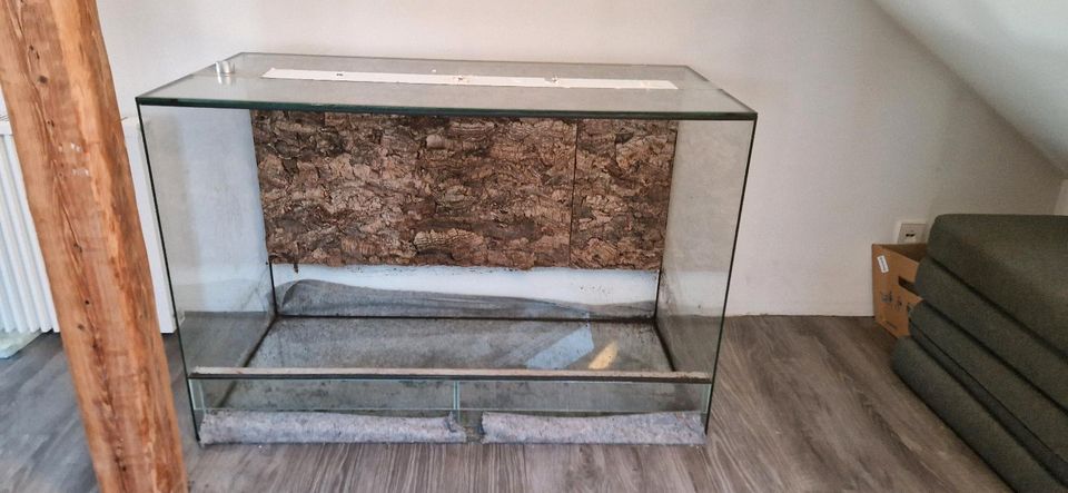 Glas Terrarium 120x80x60 in Backnang