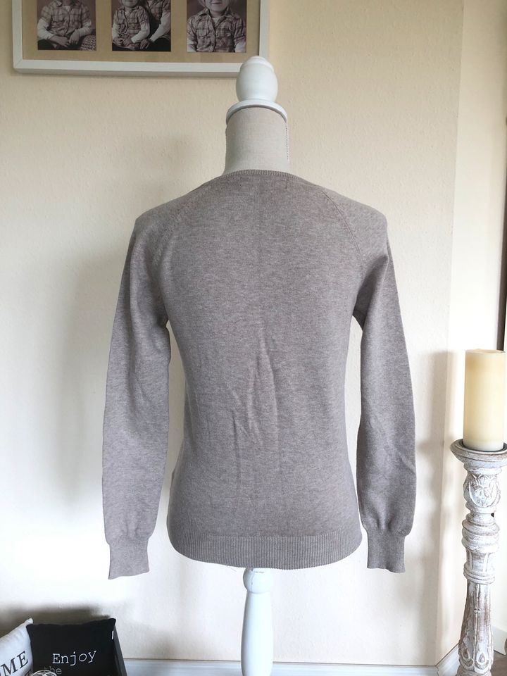 Strickjacke Zara Basics Gr. S in Henstedt-Ulzburg